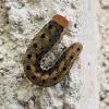 348493 – Photo : Vincent Mathy – France (14)