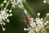 348080 – Photo : Pierre Duhem – France (73)