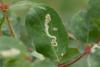 348450 – Photo : Pierre Duhem – France (73)