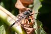 348699 – Photo : Pierre Duhem – France (73)