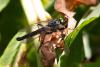 348700 – Photo : Pierre Duhem – France (73)