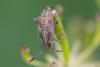 348676 – Photo : Pierre Duhem – France (73)
