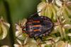 348711 – Photo : Pierre Duhem – France (73)
