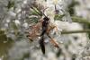 348891 – Photo : Pierre Duhem – France (73)