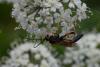 348893 – Photo : Pierre Duhem – France (73)