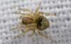 348477 – Photo : Christian Berquer – France (50)