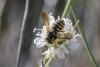 348350 – Photo : Pierre PAILLUSSEAU – France (11)