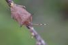 348523 – Photo : Thomas Reverchon – France (21)