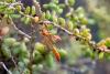 348467 – Photo : Christian Peyron – France (11)