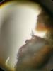 348124 – Photo : Tristan Maury-Caudal – France (76)