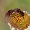 348877 – Photo : Mathurin CARNET – France (58)