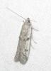 348745 – Photo : Axel Dehalleux – France (26)