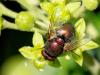 348887 – Photo : Volker – Allemagne
