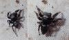 348876 – Photo : Mathurin CARNET – France (21)