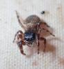 348875 – Photo : Mathurin CARNET – France (21)