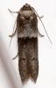 349200 – Photo : André Burgers – Espagne