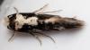 349374 – Photo : André Burgers – Espagne