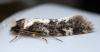 349376 – Photo : André Burgers – Espagne