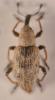 349229 – Photo : Lukas Lischer – France (67)