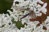 349188 – Photo : Pierre Duhem – France (73)
