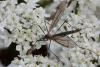 349145 – Photo : Pierre Duhem – France (73)