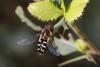 349840 – Photo : Pierre Duhem – France (73)