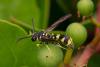 349865 – Photo : Pierre Duhem – France (75)