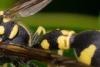349950 – Photo : Pierre Duhem – France (75)
