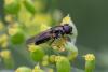 349889 – Photo : Pierre Duhem – France (95)