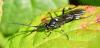 349881 – Photo : Jean-Michel GAREL – France (89)