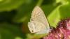 349043 – Photo : florent besson – France (18)