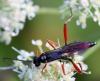 349450 – Photo : Bernard Mallet – France (60)