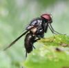 349887 – Photo : Jean-Michel GAREL – France (89)