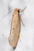 349371 – Photo : André Burgers – Espagne