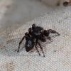 349115 – Photo : Mathurin CARNET – France (21)