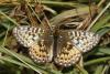 349868 – Photo : Thierry Madigou – France (05)
