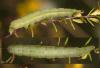349559 – Photo : éric Pensa – France (13)