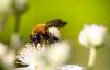 35878 – Photo : Pierre Duhem – France (24)