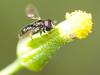 35881 – Photo : Pierre Duhem – France (24)