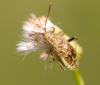 35901 – Photo : Pierre Duhem – France (24)
