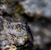 35972 – Photo : Pierre Duhem – France (24)