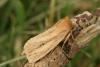 35246 – Photo : Daniel Morel – France (13)