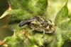 35846 – Photo : Vincent Derreumaux – France (05)