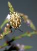 35880 – Photo : Magalie Mazuy – France (25)