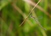 35402 – Photo : Guillaume JAN – France (19)