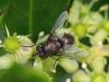 35540 – Photo : jean-claude bernard – France (29)