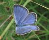 35800 – Photo : Guillaume D – France (24)