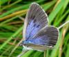 35983 – Photo : Guillaume D – France (24)