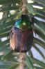 35422 – Photo : Stephane VASSEL – Grèce