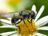 35547 – Photo : Denys Liger – France (27)